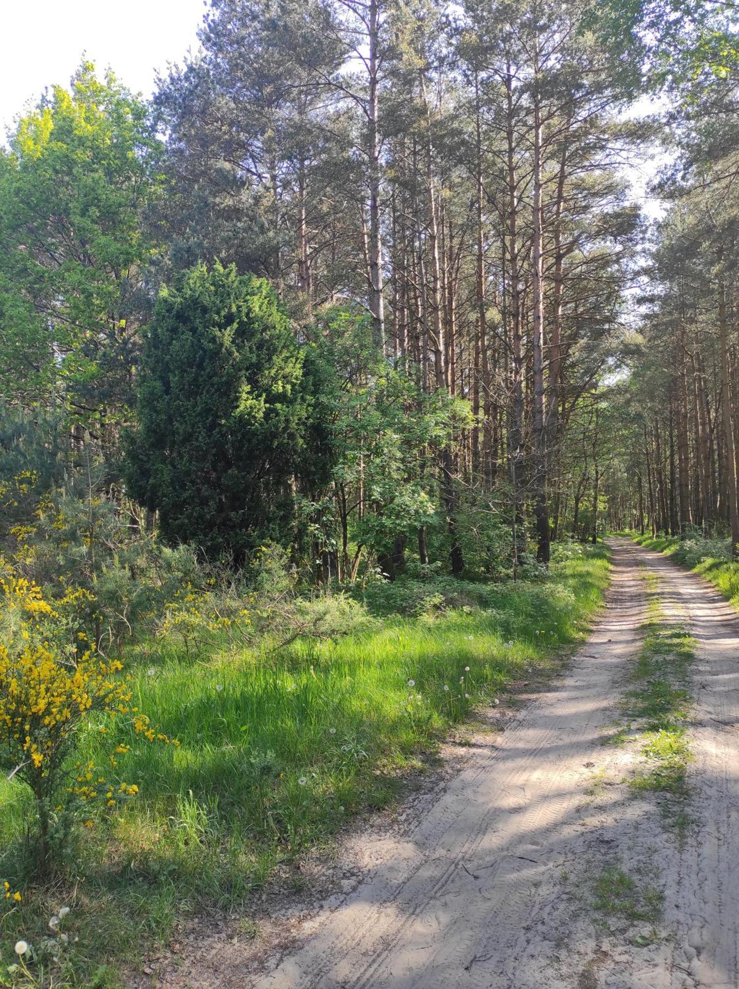 Domki Na Jastrzebiej Mieroszyno Extérieur photo